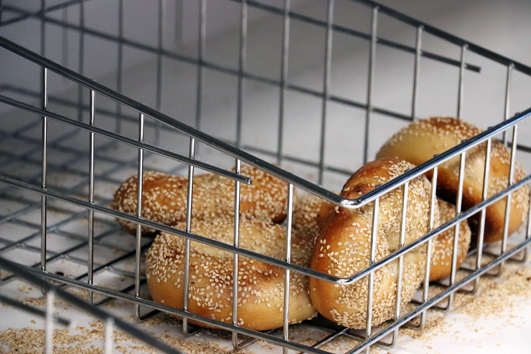 sesame in bin front close leftys